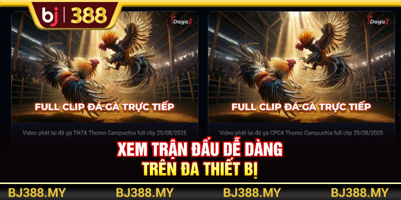 Xem Đá Gà BJ388 - Nền Tảng Đá Gà Trực Tuyến Chuyên Nghiệp 3 https://m-bj388.com Xem trận đấu dễ dàng trên đa thiết bị