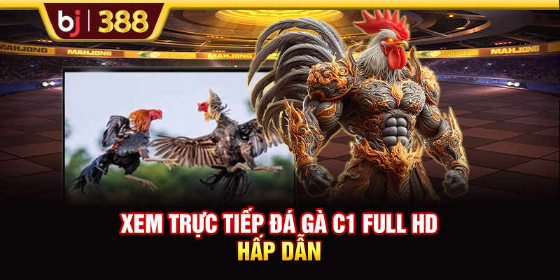 Trực Tiếp Đá Gà C1 Lịch Tranh Tài Và Kèo Chuẩn Tại BJ388 2 https://m-bj388.com Xem trực tiếp đá gà C1 full HD hấp dẫn