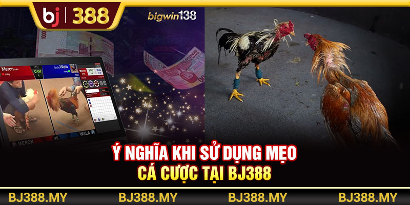 Mẹo Cá Cược Và Chọn Kèo Đá Gà Cực Chất Từ Nhà Cái BJ388 2 https://m-bj388.com Ý nghĩa khi sử dụng mẹo cá cược tại BJ388