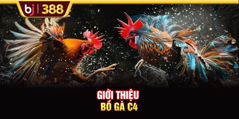 Lịch Trực Tiếp Đá Gà C4 BJ388 Hôm Nay Và Dự Đoán Từ Chuyên Gia 2 https://m-bj388.com Giới thiệu bồ gà C4