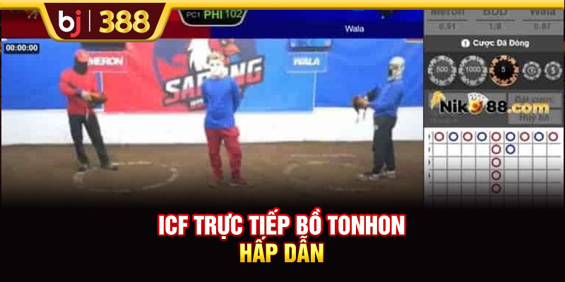 BJ388 Chia Sẻ 3 Địa Chỉ Trực Tiếp Bồ Tonhon Chất Lượng Bạn Nên Biết 3 https://m-bj388.com ICF trực tiếp bồ Tonhon hấp dẫn