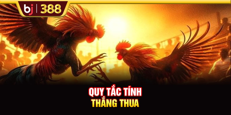 Trải Nghiệm Trực Tiếp Đá Gà C5 Cùng Các Trận Đấu Nảy Lửa 3 https://m-bj388.com Quy tắc tính thắng thua