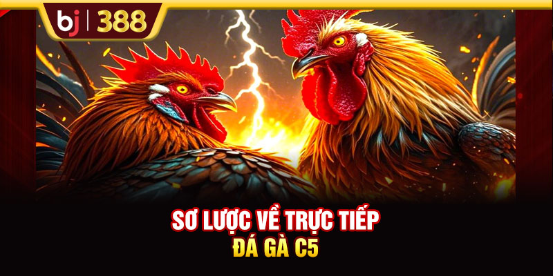 Trải Nghiệm Trực Tiếp Đá Gà C5 Cùng Các Trận Đấu Nảy Lửa 2 https://m-bj388.com Sơ lược về trực tiếp đá gà C5