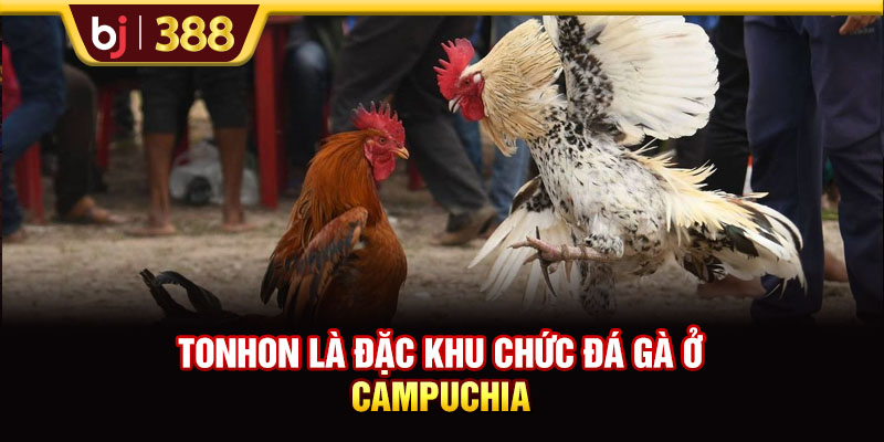 BJ388 Chia Sẻ 3 Địa Chỉ Trực Tiếp Bồ Tonhon Chất Lượng Bạn Nên Biết 2 https://m-bj388.com Tonhon là đặc khu chức đá gà ở Campuchia