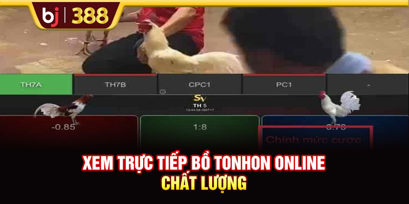 BJ388 Chia Sẻ 3 Địa Chỉ Trực Tiếp Bồ Tonhon Chất Lượng Bạn Nên Biết 4 https://m-bj388.com Xem trực tiếp bồ Tonhon online chất lượng
