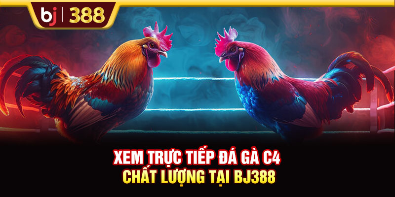 Lịch Trực Tiếp Đá Gà C4 BJ388 Hôm Nay Và Dự Đoán Từ Chuyên Gia 4 https://m-bj388.com Xem trực tiếp đá gà C4 chất lượng tại BJ388